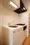 KDX Residence Azabu East - Interior - ["Property", "Room", "Sink"] thumbnail