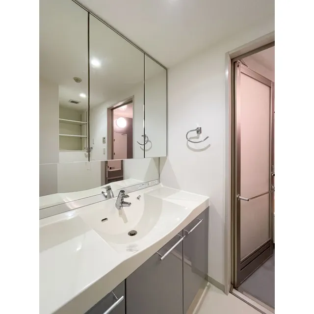 Orchid Residence Kagurazaka - Interior - ["Mirror", "Tap", "Sink"]