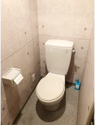 Phoenix Tamachi - Interior - ["Toilet seat", "Toilet", "Plumbing fixture"]