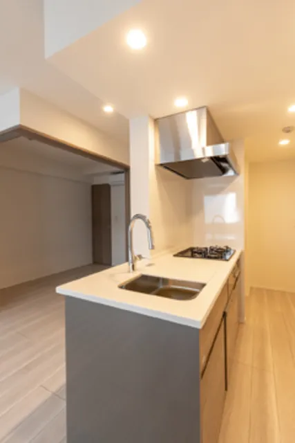 Green Residence Akasaka - Interior - ["Cabinetry", "Property", "Sink"]