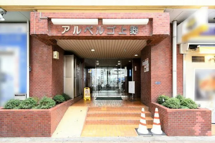 Toyoe Albergo Ueno Room 521