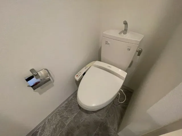 Geoluminous - Interior - ["Toilet seat", "Plumbing fixture", "Toilet"]
