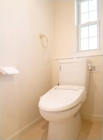 Milk Leak Eighty - Interior - ["Brown", "Toilet seat", "Toilet"]