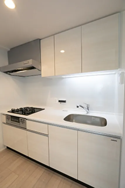Urban Premier Akihabara - Interior - ["Cabinetry", "Countertop", "Kitchen sink"]