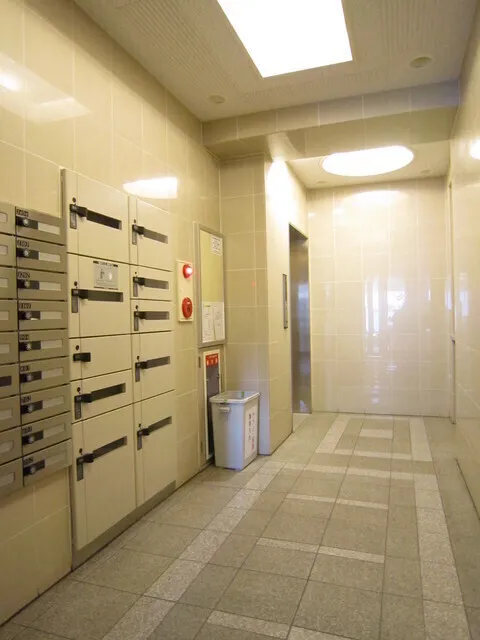Solid Ohashi - Other - ["Flooring", "Floor", "Ceiling"]