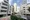 Lupinus Azabu City Form thumbnail