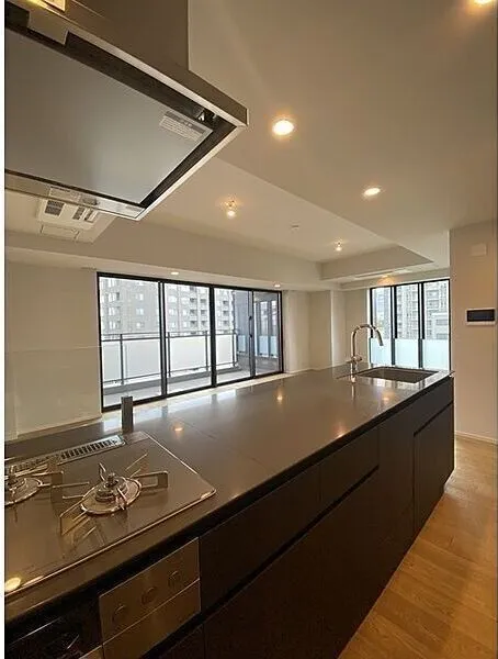 The Parkhouse Chiyoda Rokubancho - Interior - ["Kitchen", "Countertop", "Interior design"]
