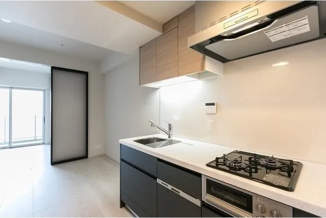 Demes Kiba - Interior - ["Cabinetry", "Countertop", "Sink"]