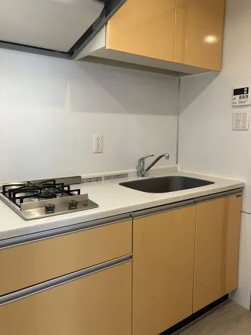 Prime Urban Shinjuku Naitomachi - Interior - ["Kitchen", "Major appliance", "Kitchen Sink"]