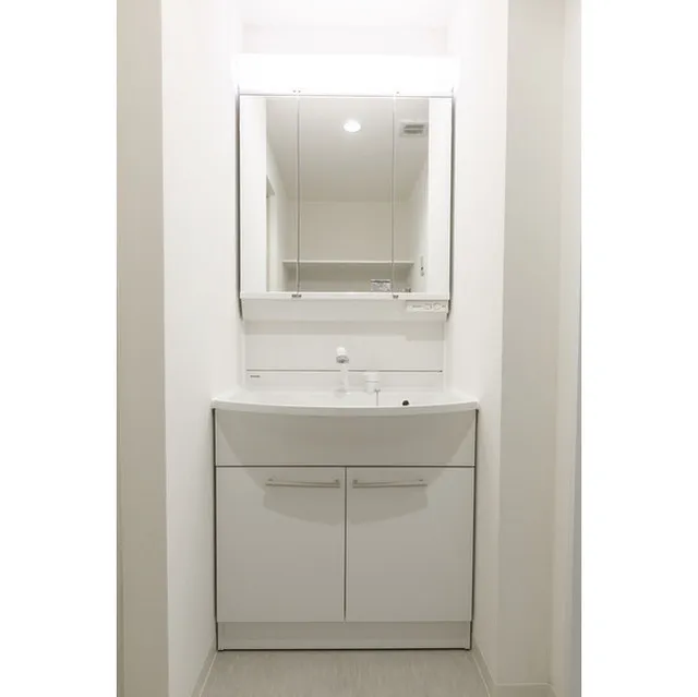 Blance SHIBAURA - Interior - ["Mirror", "Bathroom cabinet", "Cabinetry"]