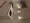 Doue Yoyogi - Interior - ["Automotive design", "Flooring", "Floor"] thumbnail