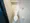 Mynavi STAY Miraie Higashi Yaesu - Interior - [] thumbnail