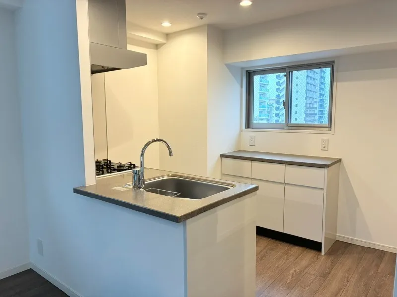 Elstanza Bunkyo Sendagi - Interior - ["Flooring", "Countertop", "Kitchen"]