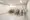 Proud Flat Kagurazaka II - Other - ["Bicycle", "Flooring", "Bicycle wheel"] thumbnail