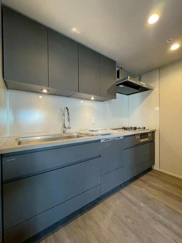 Lumiec Kinshicho - Interior - ["Kitchen", "Countertop", "Kitchen Appliance"]