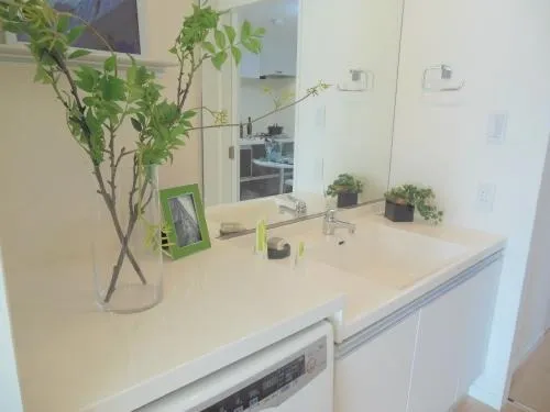 Castalia Nakameguro - Interior - ["Plant", "Houseplant", "Building"]