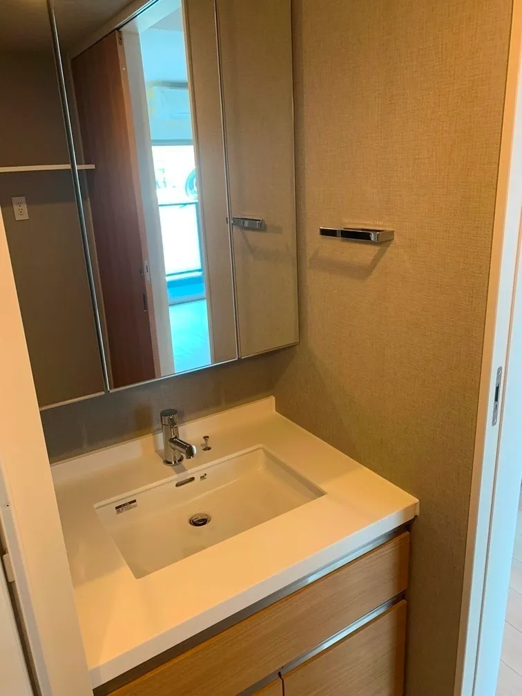 Doue Ryogoku III - Interior - ["Mirror", "Cabinetry", "Countertop"]