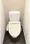 Phoenix Shiinamachi - Interior - ["Toilet seat", "Toilet", "Plumbing fixture"] thumbnail