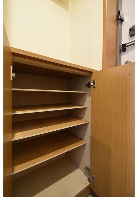 Welt Waterfront - Interior - ["Wood", "Flooring", "Shelving"]