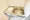 Iogi Homes - Interior - ["Plumbing fixture", "Plumbing", "Sink"] thumbnail