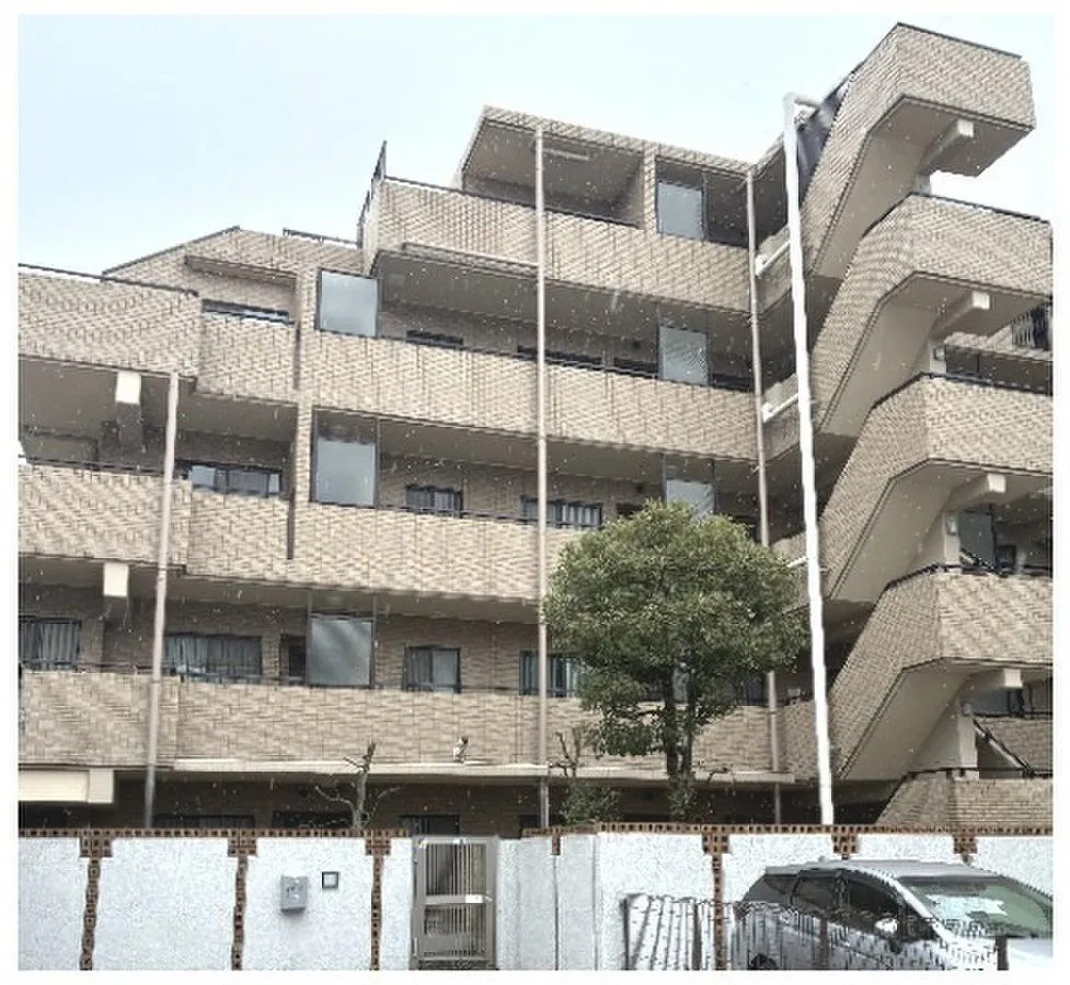 Cosmo Motosumiyoshi Court Form