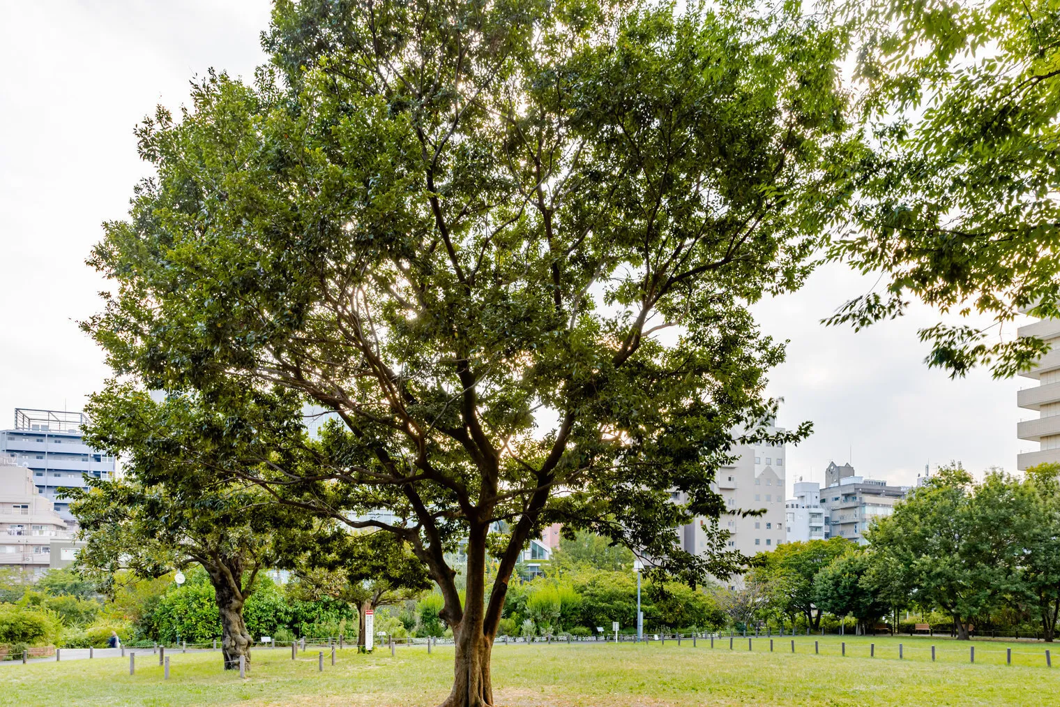 Prime Urban Meguro Riverfront - Exterior - []