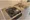 Phoenix Shiinamachi - Interior - ["Major appliance", "Kitchen", "Kitchen Sink"] thumbnail
