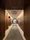 Wellis Daikanyama Sarugakucho Terrace - Exterior - ["Floor", "Flooring", "Wood"] thumbnail