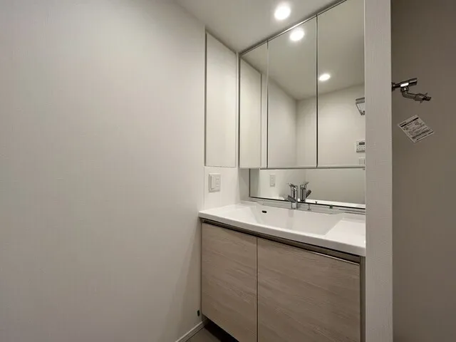 Park Tower Kachidoki South Building - Interior - ["Flooring", "Floor", "Bathroom cabinet"]