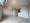 Le Fone Progre Takadanobaba North - Interior - ["Flooring", "Floor", "Ceiling"] thumbnail