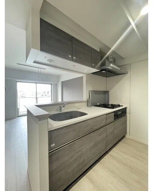 Alpha Court Kasai - Interior - ["Countertop", "Kitchen", "Flooring"]
