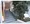 Stella Maison Myougandani - Exterior - ["Plant", "Building", "Fixture"] thumbnail
