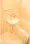 Phoenix Gotanda - Interior - ["Flooring", "Floor", "Plumbing fixture"] thumbnail