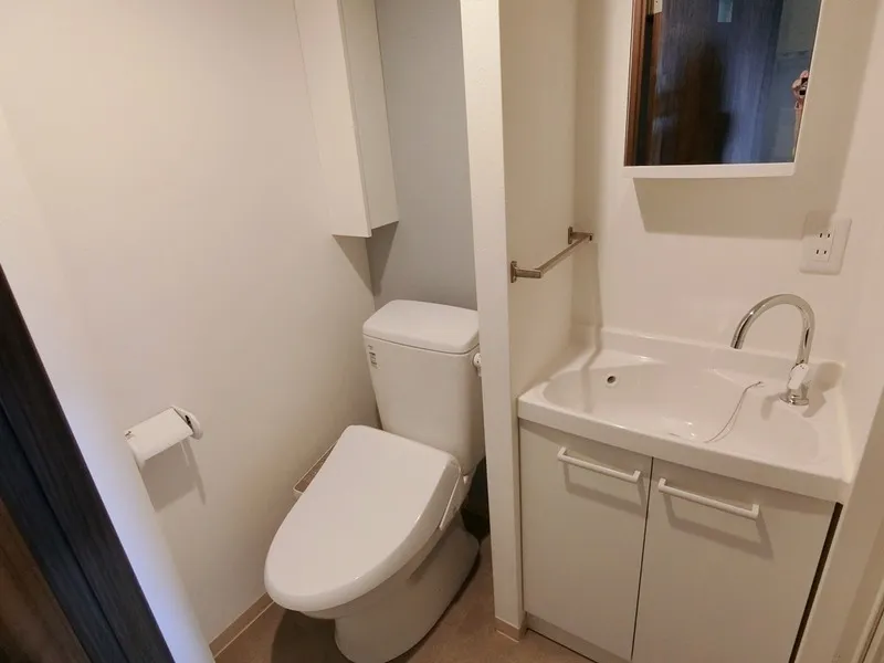 Zelkova Residence - Interior - ["Plumbing fixture", "Toilet seat", "Bathroom Sink"]