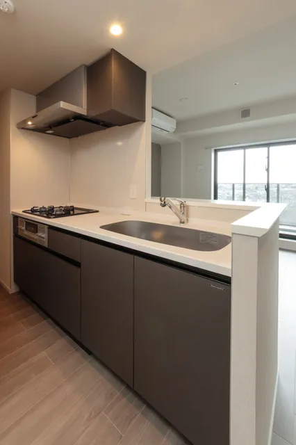 Terra Silk Forest - Interior - ["Apartment", "Kitchen", "Countertop"]