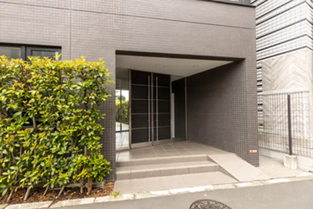 Zelkova Takaido - Exterior - ["Plant", "Fixture", "Building"]