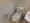Shell Kamiikedai - Interior - ["Toilet seat", "Toilet", "Plumbing fixture"] thumbnail