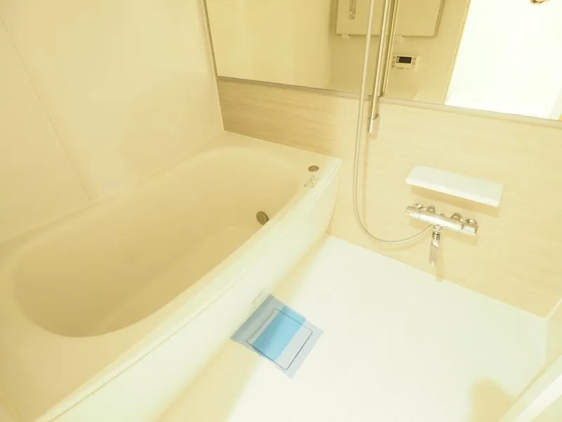 Residia Bunkyo Otowa - Interior - ["Mirror", "Plumbing fixture", "Bathtub"]