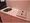 Saint-Émilion Chitose-Karasuyama - Interior - ["Kitchen Sink", "Plumbing fixture", "Sink"] thumbnail