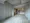 Lumiec Kinshicho - Interior - ["Flooring", "Floor", "Wood"] thumbnail