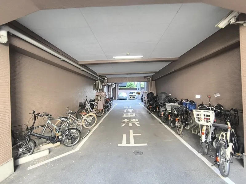 Edobori Urban Life - Other - ["Bicycle frame", "Bicycle", "Bicycle tire"]