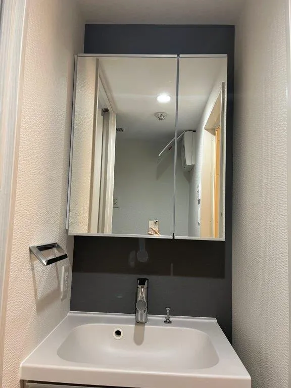 LiveFlat Togoshi - Interior - ["Mirror", "Brown", "Tap"]
