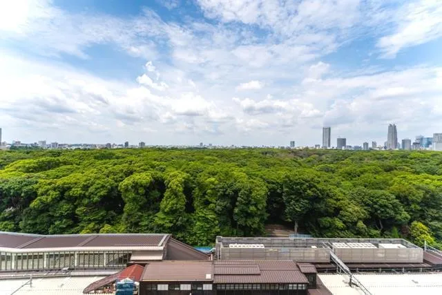 With Harajuku Residence - Interior - ["Daytime", "Tree", "Landscape"]