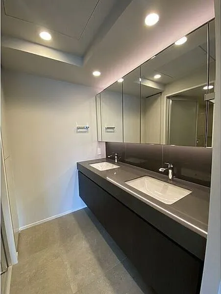 The Parkhouse Chiyoda Rokubancho - Interior - ["Interior design", "Bathroom Sink", "Flooring"]