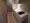 Season Flats Asakusa - Interior - ["Flooring", "Floor", "Wood"] thumbnail