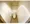 Regios Bunkyo Hakusan - Interior - ["Toilet seat", "Toilet", "Flooring"] thumbnail