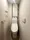 Brookside Residence Kiba - Interior - ["Toilet seat", "Toilet", "Plumbing fixture"] thumbnail