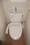 Esty Maison Kinshicho II - Interior - ["Brown", "Toilet seat", "Toilet"] thumbnail