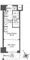 Comforia Live Negishi Nichome - Floor Plan - [] thumbnail