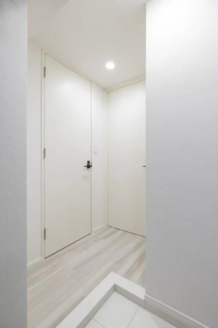 BRICK RESIDENCE Minamiaoyama - Interior - ["Fixture", "Door", "Flooring"]